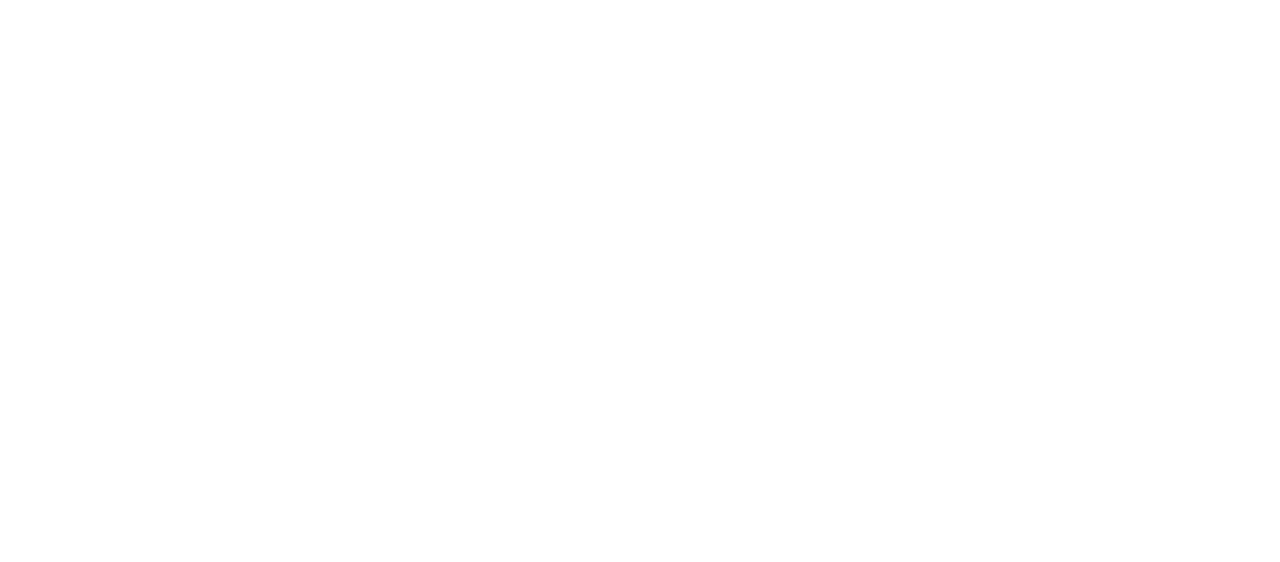 ANLEGER INTERESSENGEMEINCE logo